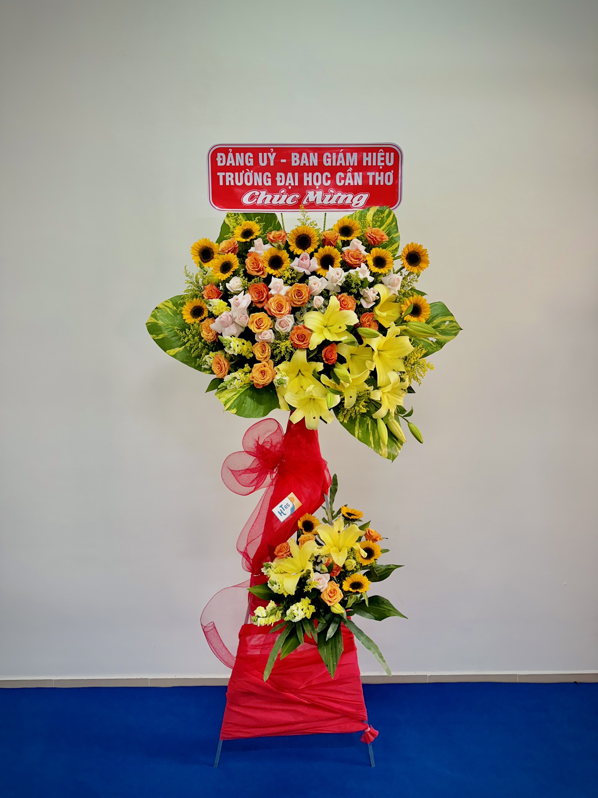 Lễ kỷ niệm 15 năm thành lập Viện Nghiên cứu Biến đổi Khí hậu – Trường Đại học Cần Thơ